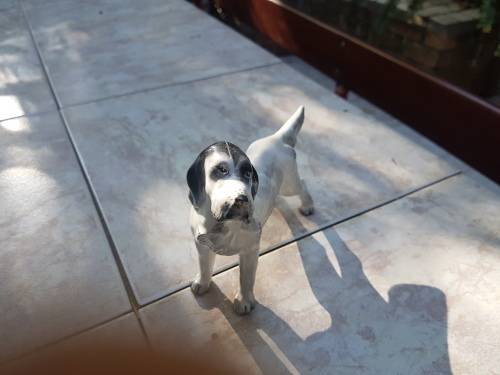 *RARE*  "Arthur Bowker " English Setter dog figurine