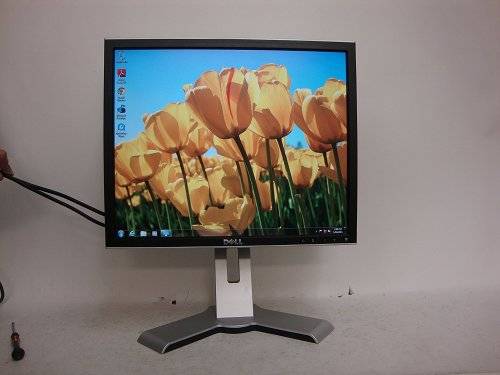 Dell 1908FP 19" flat panel monitor - 1908FPC