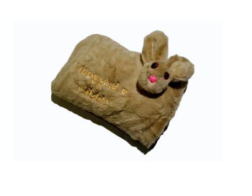 Electrothermal Hot Water Bottle