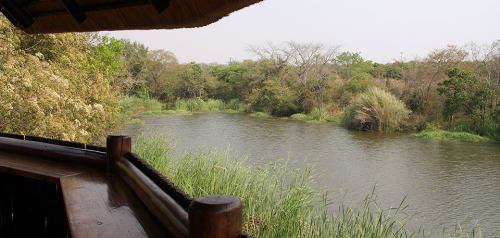 Kruger Park Lodge 28 July to 4 August 2023