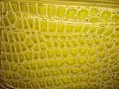 Ladies Green Leather Handbag