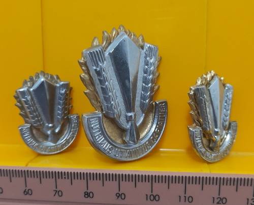 SADF Catering Corps Set with Pins