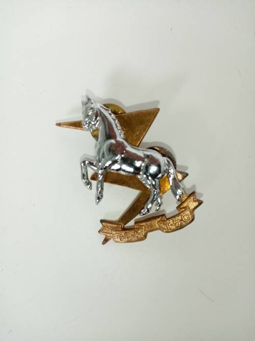 TECHNICAL SERVICE CORPS BERET BADGE