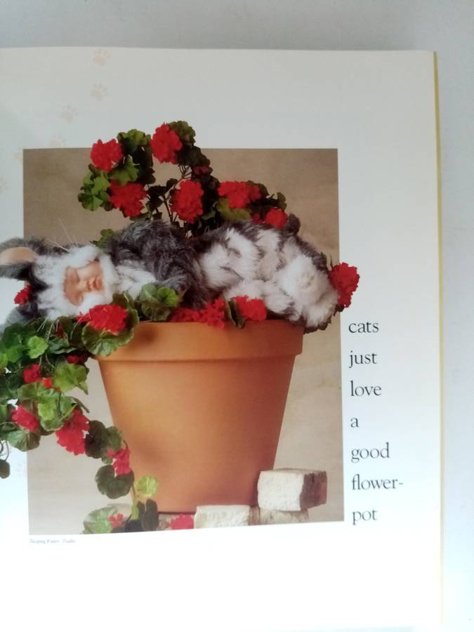 Anne Geddes Book
