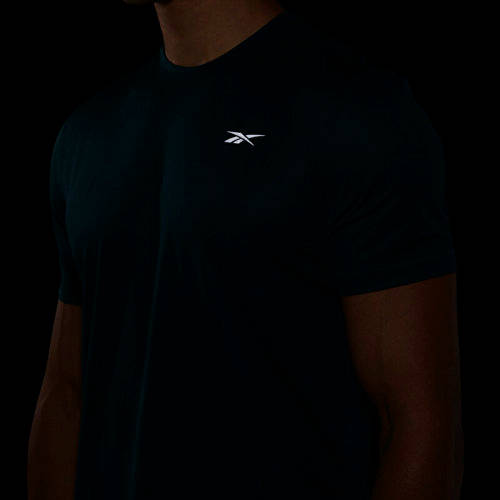 100% Original Reebok GJ6286 RE SS Tee - Large (Retail R599)