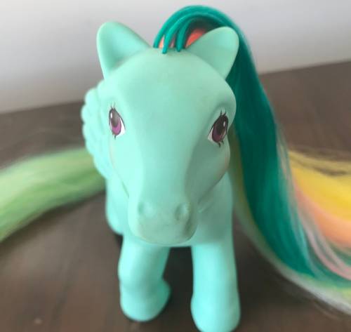 My Little Pony - Brush 'n Grow Braided Beauty (1987)