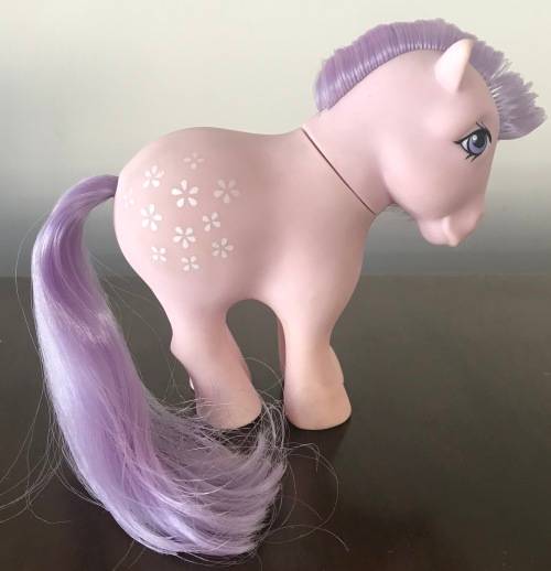 My Little Pony - Collector's Pose Blossom (1983)