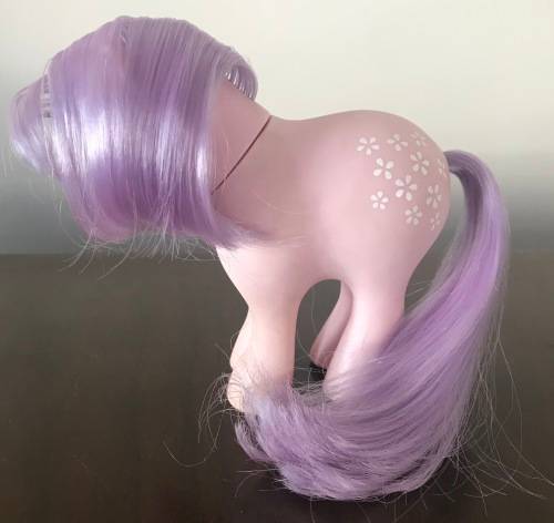 My Little Pony - Collector's Pose Blossom (1983)