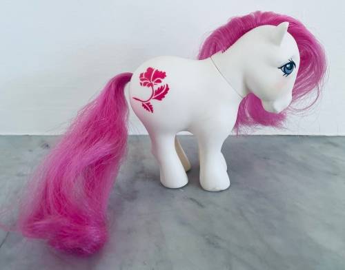 My Little Pony - Mail Order Birthflower August Poppy (1983) and Tennis Pack Pony Wear (1984)