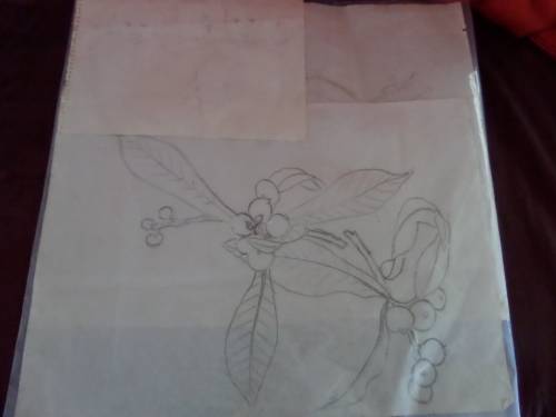 3 x Cecil Higgs 1898-1986 preparation pencil sketches