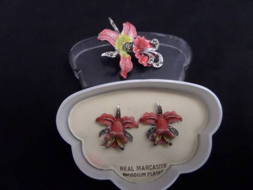 Costume Jewellery Broach and Earings(clip on's)