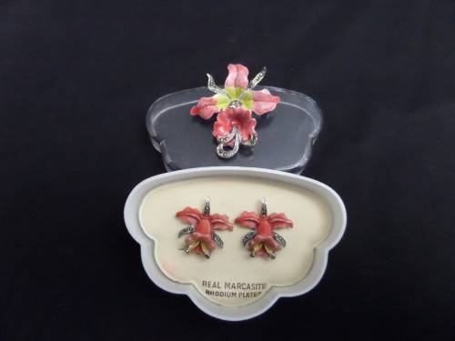 Costume Jewellery Broach and Earings(clip on's)