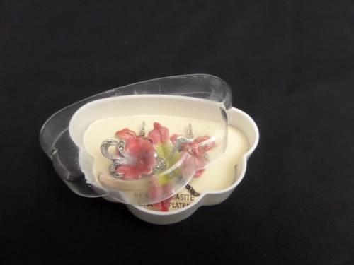 Costume Jewellery Broach and Earings(clip on's)