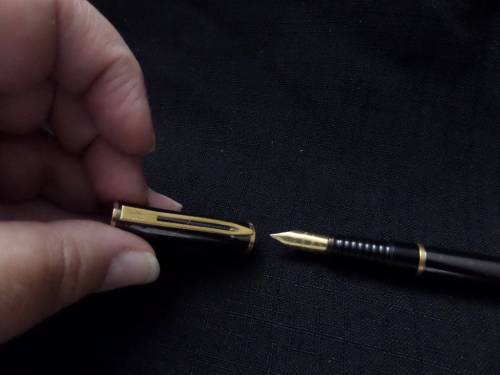 Waterman (France) Ink Pen Black
