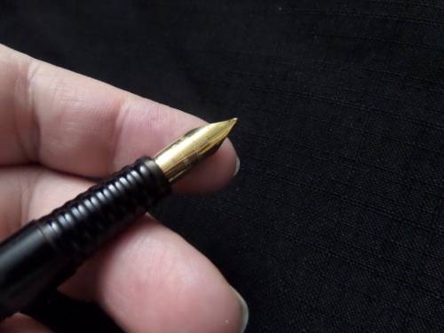 Waterman (France) Ink Pen Black