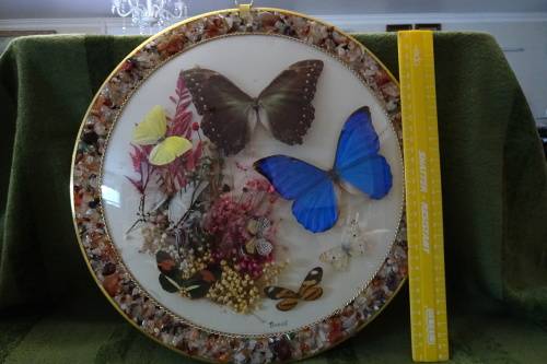 Stunning Butterfly Plaque made in Brazil  35 cm wide