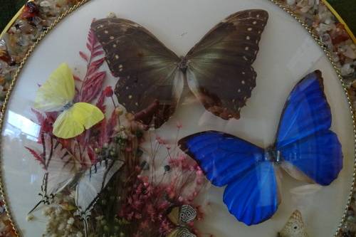 Stunning Butterfly Plaque made in Brazil  35 cm wide
