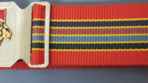South African Defence Force Pride of the Lions Stable Belt L: 97 cm