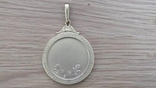 South African Defence Force Unnamed Gold Gilt Merit Medal 50 mm