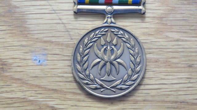 South African Police Services Reconciliation And Amalgamation 15 October 1995 Medal (93035)