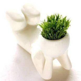@ new Christmas Gift DIY cup plant - creative gift @