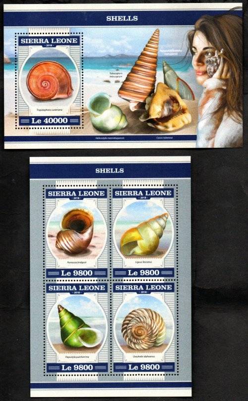 SIERRA LEONE 2018 SHELLS (X2) SHEETLETS UMM. AS PER SCANS. GOOD VALUE. GREAT THEMATIC ITEMS.