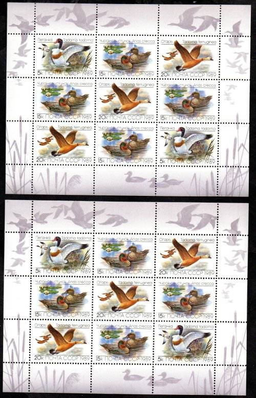 RUSSIA (USSR) 1989 DUCKS (1ST SERIES) (X5) UMM MINI SHEETS DUPLICATED. SG6011-13. BEAUTIFUL ITEMS!