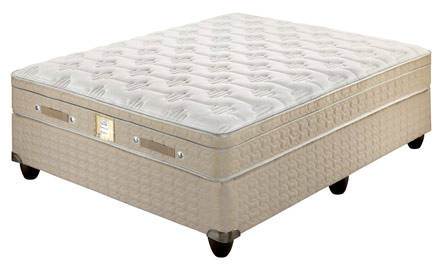 Sealy Cedar Firm - Double Bed Set