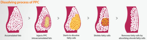 Lipolab PPC Solution - 10ml vial Fat Burner Injection Solution - Weight Loss