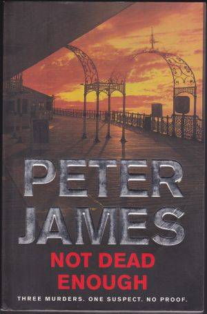 Not Dead Enough by PETER JAMES (Large Paperback)