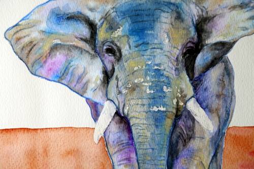 Original Painting by Lorna Pauls - African Elephant (297 x 420 mm or 11.7 x 16.5 in)