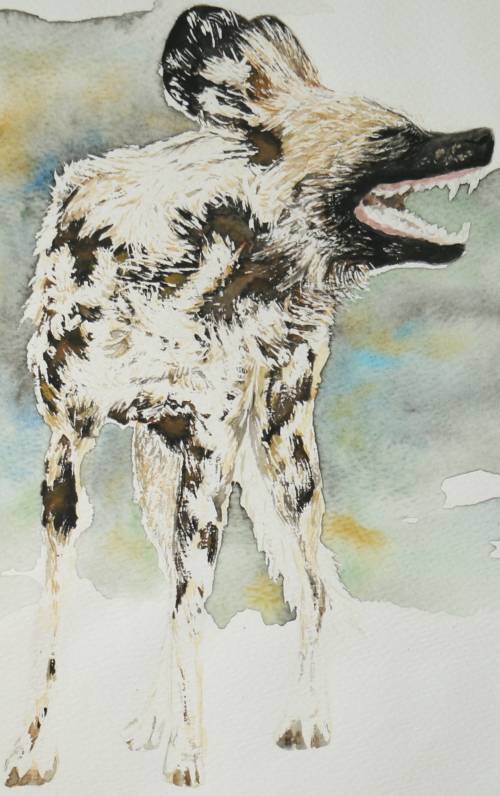 Original Painting by Lorna Pauls - African Wild Dog (297 x 420 mm or 11.7 x 16.5 in)