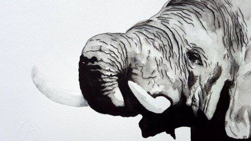 Original Painting by Lorna Pauls - Elephant (37 x 28 cm or 14.5 x 11")