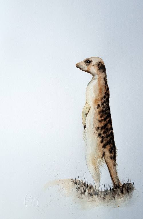Original Painting by Lorna Pauls - Meerkat (554 x 378 mm or 21.8 x 14.8")