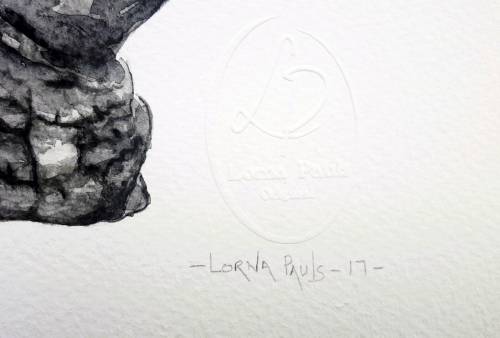 Original Painting by Lorna Pauls - Rhino Black & White (37 x 28 cm or 14.5 x 11")