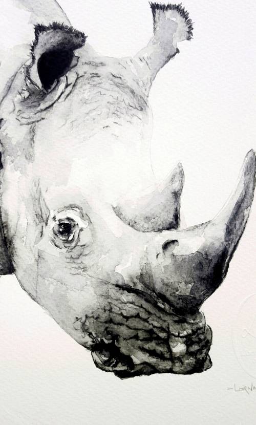 Original Painting by Lorna Pauls - Rhino Black & White (37 x 28 cm or 14.5 x 11")
