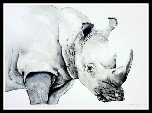 Original Painting by Lorna Pauls - Rhino Black & White (37 x 28 cm or 14.5 x 11")