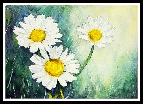 Original Painting by Lorna Pauls - Daisies 2 (37 x 28 cm or 14.5 x 11")