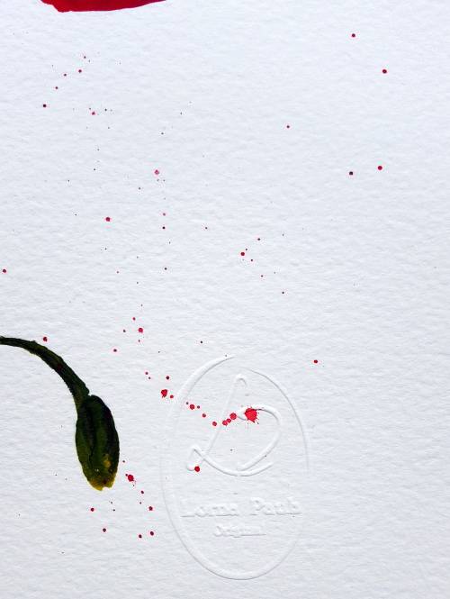 Original Painting by Lorna Pauls - Poppies 2 (37 x 28 cm or 14.5 x 11")