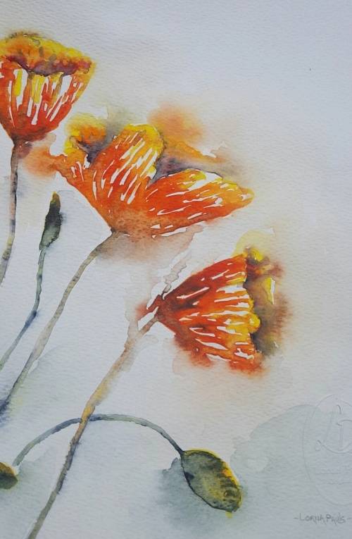Original Painting by Lorna Pauls - Yellow Poppies (42 x 29.5 cm or 16.5 x 11.5")