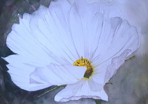 Original Painting by Lorna Pauls - Cosmos 2 (42 x 29.5 cm or 16.5 x 11.5")