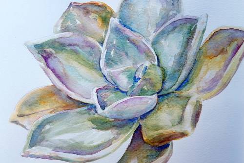 Original Painting by Lorna Pauls - Succulent 1 (42 x 29.5 cm or 16.5 x 11.5")