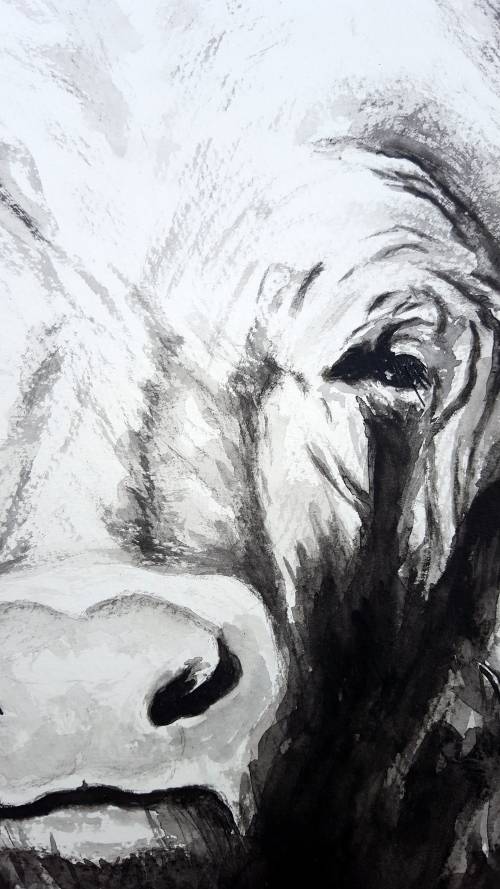 Original Painting by Lorna Pauls - Buffallo Black&White 2 (55cm x 37.5cm)