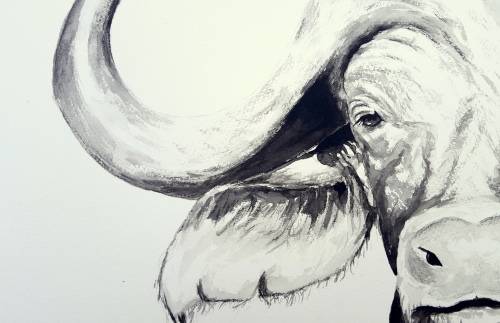 Original Painting by Lorna Pauls - Buffallo Black&White 2 (55cm x 37.5cm)