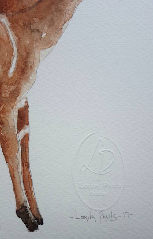 Original Painting by Lorna Pauls - Nyala 1 (27cm x 37.5cm)