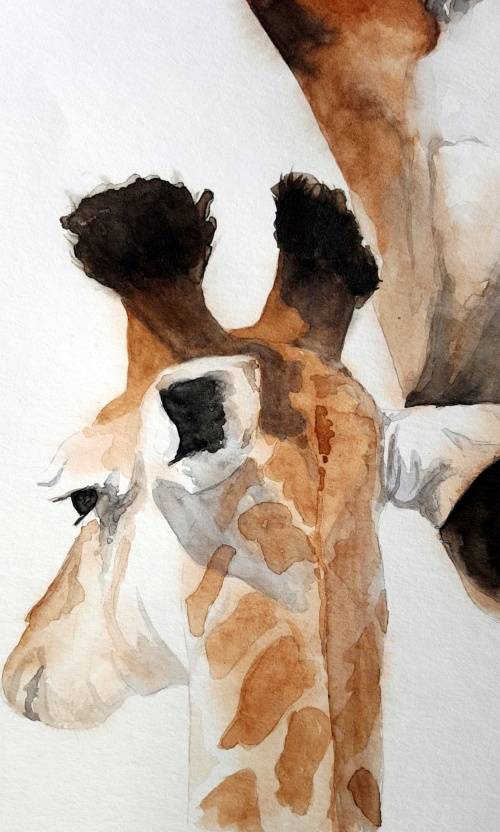 Original Painting by Lorna Pauls - Giraffe "Love" (29.7cm x 42cm)