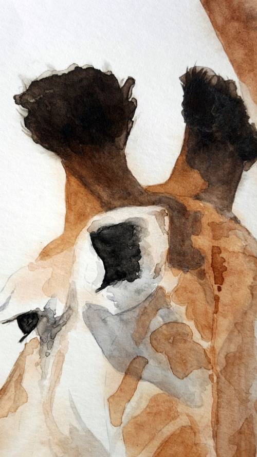 Original Painting by Lorna Pauls - Giraffe "Love" (29.7cm x 42cm)