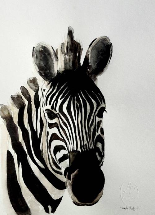 Original Painting by Lorna Pauls - Zebra2 (29.7cm x 42cm)