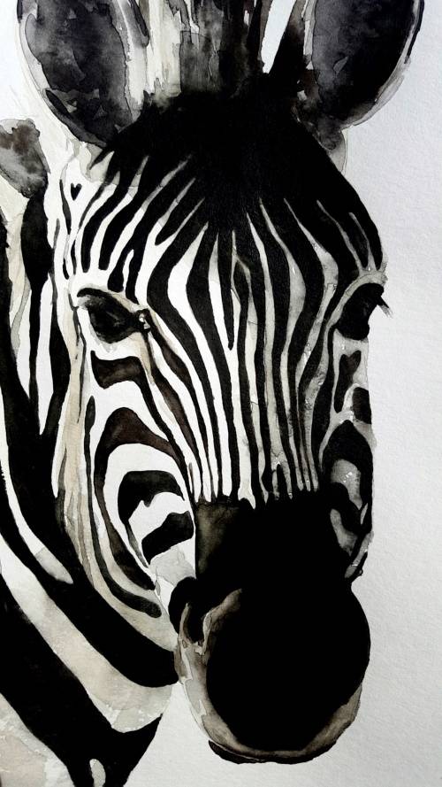 Original Painting by Lorna Pauls - Zebra2 (29.7cm x 42cm)