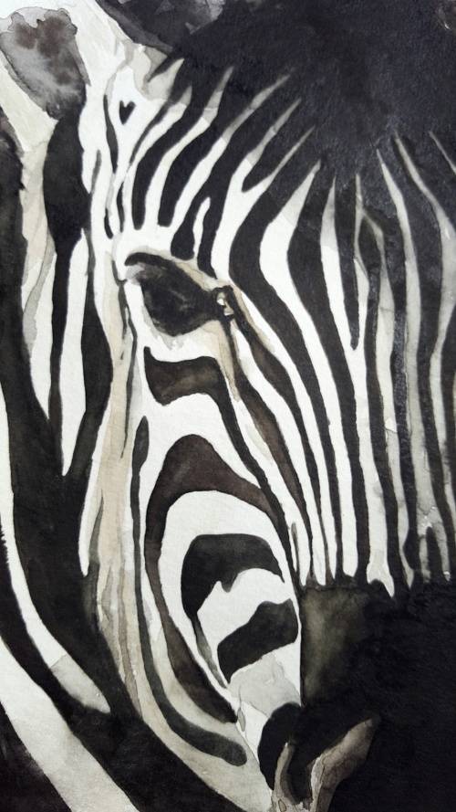 Original Painting by Lorna Pauls - Zebra2 (29.7cm x 42cm)